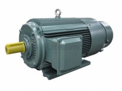 低壓電動(dòng)機(jī)